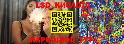 spice Гатчина