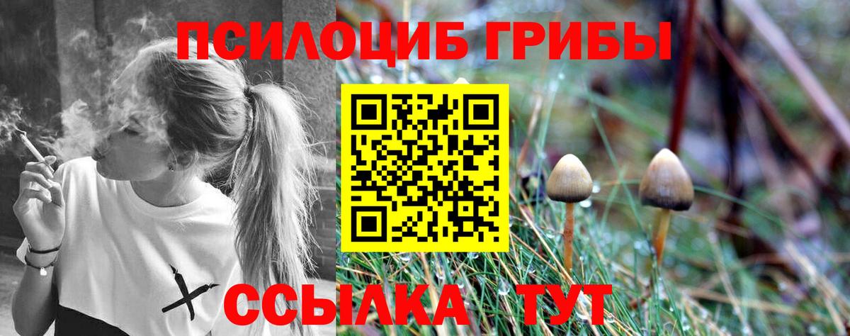 Псилоцибиновые грибы ЛСД Кудрово